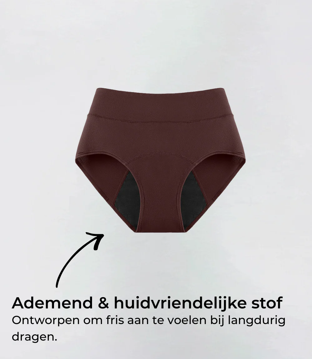 Miniatuur 4