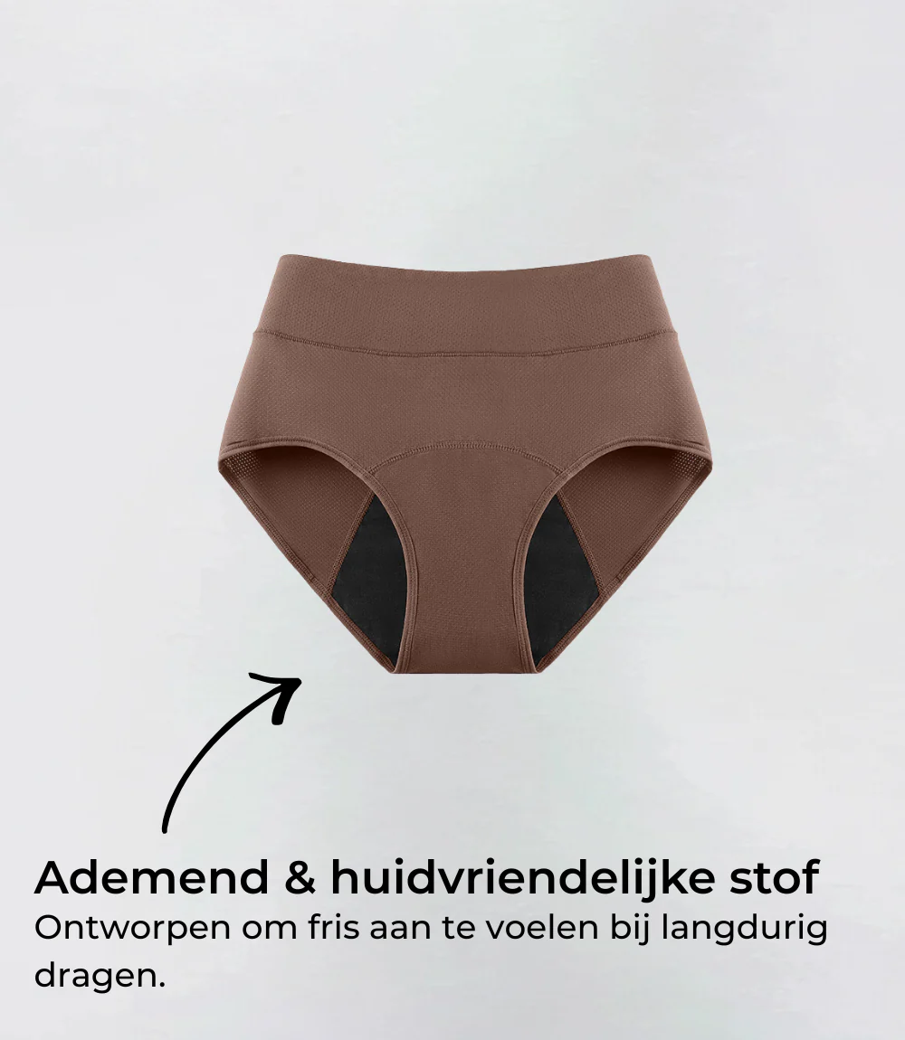 Miniatuur 5